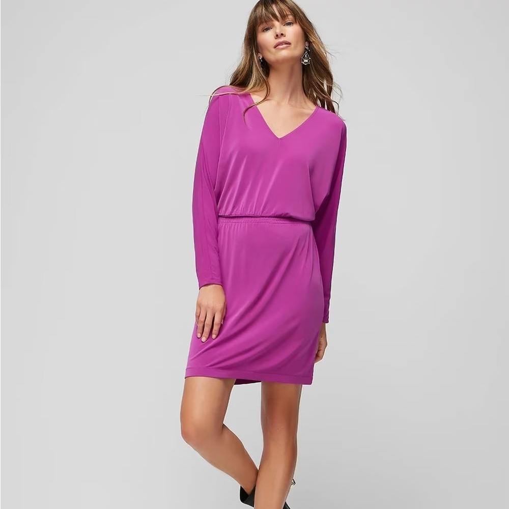 WHBM NWT Long Sleeve Smocked Matte Jersey Dolman Dress